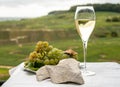 White chalk stones from Cote des Blancs near Epernay, region Champagne, France, glass of blanc de blancs champagne from grand cru