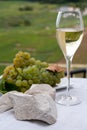 White chalk stones from Cote des Blancs near Epernay, region Champagne, France, glass of blanc de blancs champagne from grand cru