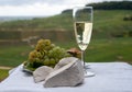 White chalk stones from Cote des Blancs near Epernay, region Champagne, France, glass of blanc de blancs champagne from grand cru