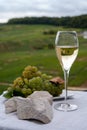 White chalk stones from Cote des Blancs near Epernay, region Champagne, France, glass of blanc de blancs champagne from grand cru