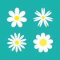 White chamomile daisy flower round icon set. Camomile petal. Cute plant collection. Growing concept. Happy Valentines Day Royalty Free Stock Photo