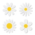 White chamomile daisy flower round icon set. Camomile petal. Cute plant collection. Growing concept. Happy Valentines Day Royalty Free Stock Photo