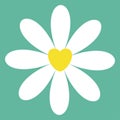 White chamomile daisy icon. Cute flower plant collection. Yellow heart center. Valentines day Love card. Camomile Growing concept