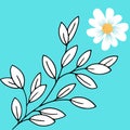 White chamomile flower with stem and leaves