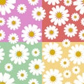 white chamomile seamless pattern vector four tone color background. stock illustration chamomile white flower