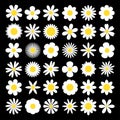 White chamomile silhouette shape icon. Camomile daisy set. Decoration element. Cute round flower plant nature collection. Love