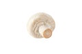 White champignon mushroom button isolated on white. Transparent png additional format