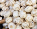 White champignon mushrooms, backdrop background. Many mushrooms close-up. Fresh ripe pure white mushroom champignon Agaricus