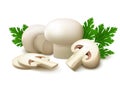 White champignon mushrooms with parsley leaves on white background