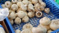 White champignons in the basket