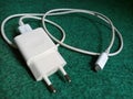 White charger with cable head on a green carpet background