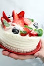 White cheese cake with strawberries. Royalty Free Stock Photo