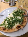 White cheese half pizza pie with arugula on a plate