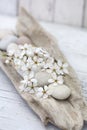 White Cherry Blossom On Driftwood