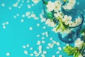 White cherry blossom twigs in glass vase on blue paper background. Copy space. Selective focus. Toned Royalty Free Stock Photo