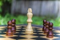White chess king surrounded by black pawns Royalty Free Stock Photo