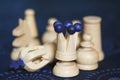 White chess pieces Royalty Free Stock Photo