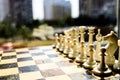 White chess pieces on a chess board and open world on blurred background. Teamwork concept fo succes Royalty Free Stock Photo