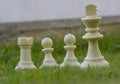 White chess pieces standing on the grass Royalty Free Stock Photo