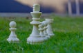 White chess pieces standing on the grass Royalty Free Stock Photo