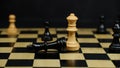 White chess queen piece has beaten black king piece Royalty Free Stock Photo