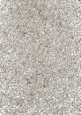 White chia seeds background Royalty Free Stock Photo