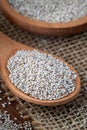 White chia seeds