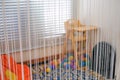 White Chick Curtains on kids playing room Royalty Free Stock Photo