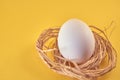 White chicken egg in the nest on a yellow background Royalty Free Stock Photo