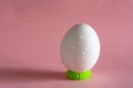 White chicken egg on pink pastel background with water drops on shell. decor for Easter Royalty Free Stock Photo