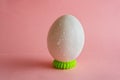 White chicken egg on pink pastel background with water drops on shell. decor for Easter Royalty Free Stock Photo