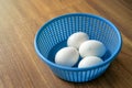 4 white chicken eggs in blue plastic basket on wood floor. 1 of 4 Chicken is ready to break out the egg shell from inside Royalty Free Stock Photo