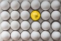 White chicken eggs in a cardboard box with one golden egg, background. Royalty Free Stock Photo