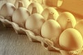 White chicken eggs in a cardboard cassette. Fabric background. Tinting. Close up. Royalty Free Stock Photo