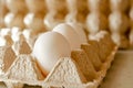 White chicken eggs in carton box, close up Royalty Free Stock Photo