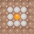 White chicken eggs in the carton box Royalty Free Stock Photo
