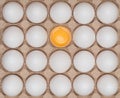 White chicken eggs in the carton box Royalty Free Stock Photo