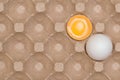 White chicken eggs in the carton box Royalty Free Stock Photo