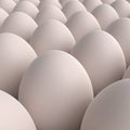 White chicken eggs collection. 3d render