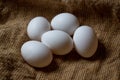 White chicken eggs. White eggs lie on sacking Royalty Free Stock Photo