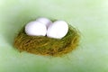 White chicken eggs in a nest Royalty Free Stock Photo