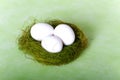 White chicken eggs in a nest Royalty Free Stock Photo