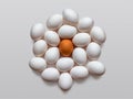 White chicken eggs and one egg with a brown shell in the middle Royalty Free Stock Photo