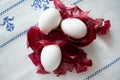 White chicken eggs in red onion husks on a white embroidered tablecloth. Royalty Free Stock Photo