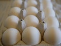 White chicken eggs in a special container. natural food. health food.