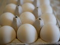 White chicken eggs in a special container. natural food. health food.