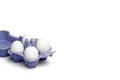 White chicken eggs in a tray isolated against a white background Royalty Free Stock Photo