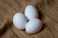 White chicken eggs. White eggs lie on sacking Royalty Free Stock Photo