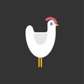 White Chicken isolated. bird farm. Vector illustration Royalty Free Stock Photo