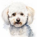 Watercolor Dog Portrait: Bichon Frise With Calm And Cute Expression